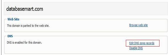 Click Edit DNS zone records link